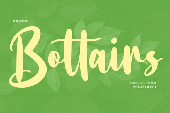 Bottairs Font Poster 1