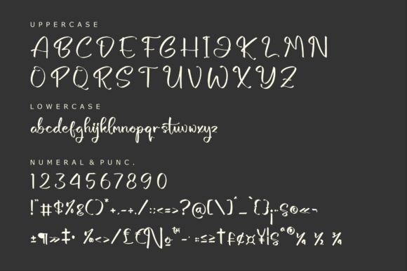 Bottanicy Sketch Font Poster 13