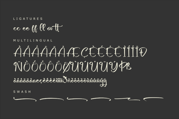Bottanicy Sketch Font Poster 14