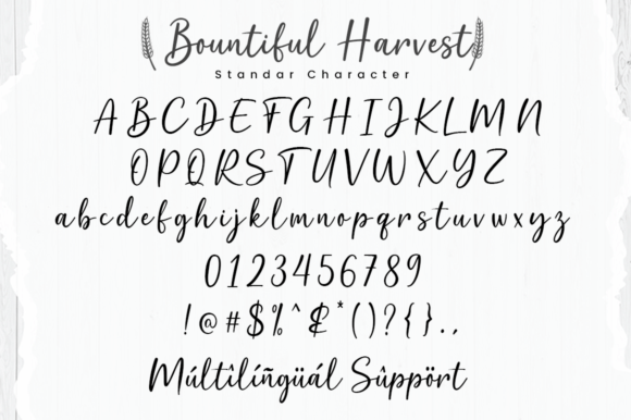 Bountiful Harvest Font Poster 11