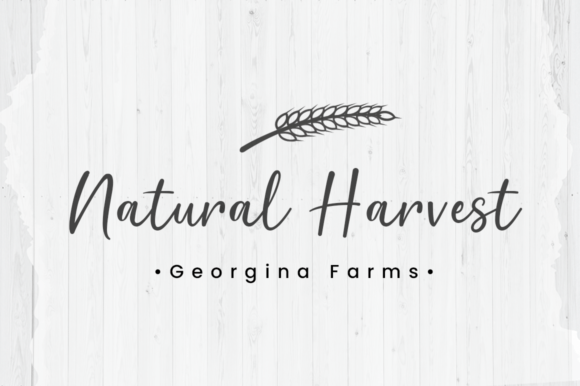 Bountiful Harvest Font Poster 6