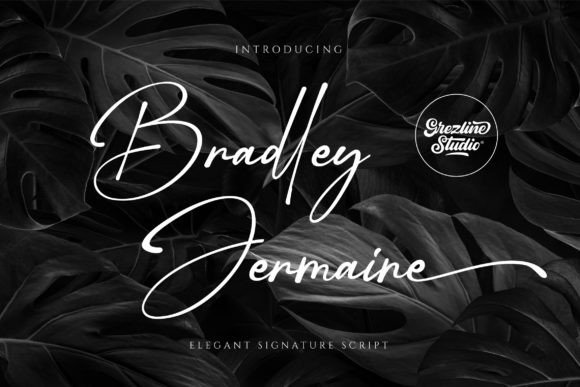 Bradley Jermaine Font Poster 1