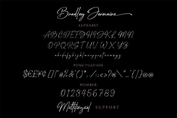 Bradley Jermaine Font Poster 8