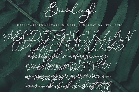 Brinleigh Font Poster 10