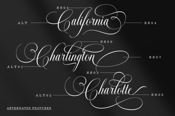 Brulletta Font Poster 5