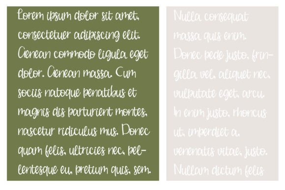 Buche De Noel Font Poster 4