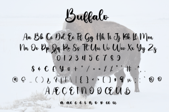 Buffalo Font Poster 7