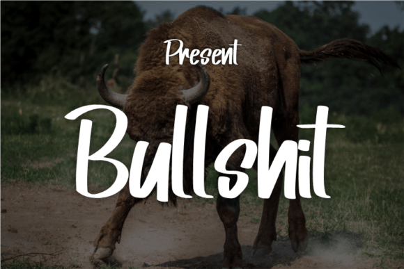 Bullshit Font Poster 1