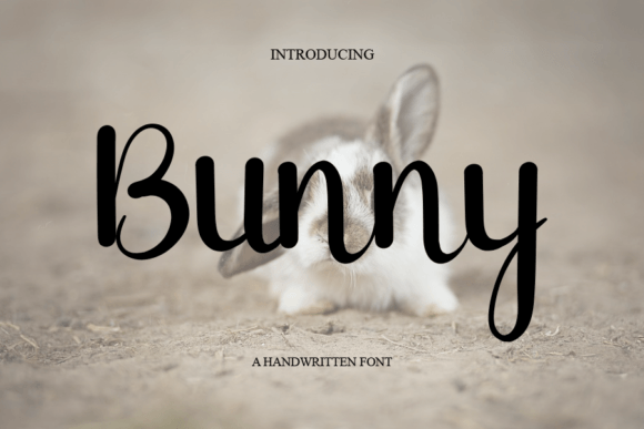 Bunny Font Bunny Font Poster 1