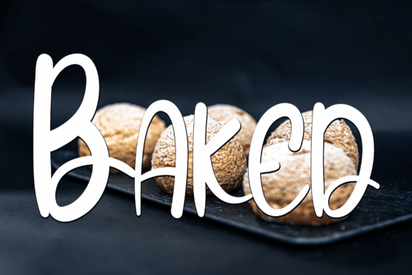 Burger Font Poster 2