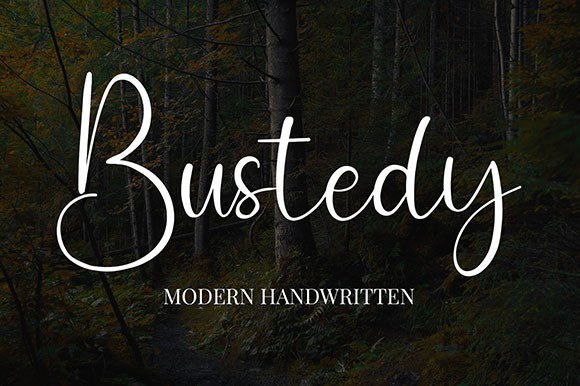 Bustedy Font Poster 1