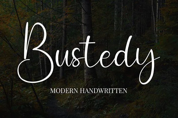 Bustedy Font Bustedy Font Poster 1