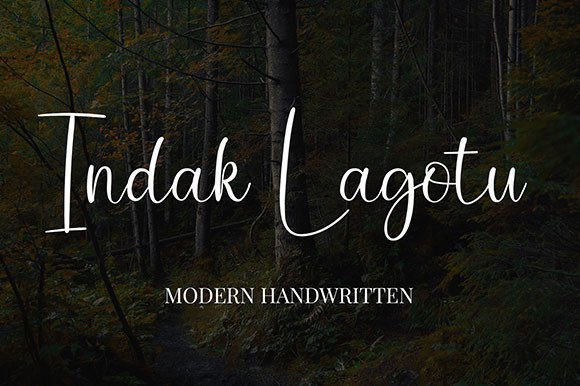 Bustedy Font Poster 4