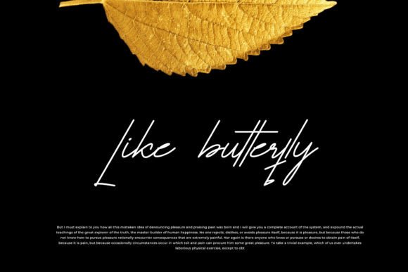Butterfloo Font Poster 2