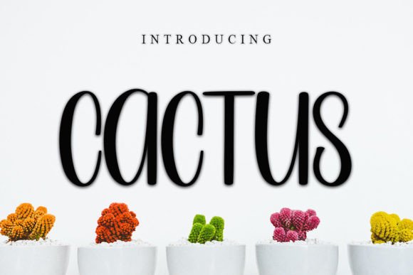 Cactus Font