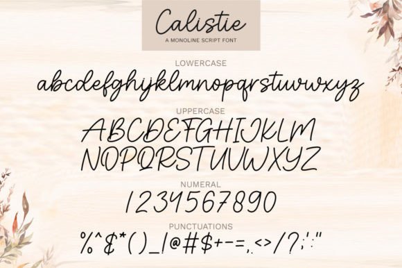 Calistie Font Poster 5