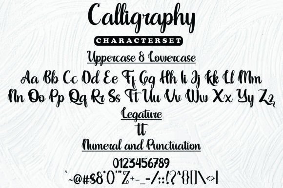 Calligraphy Font Poster 8