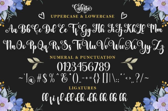 Calosta Font Poster 7