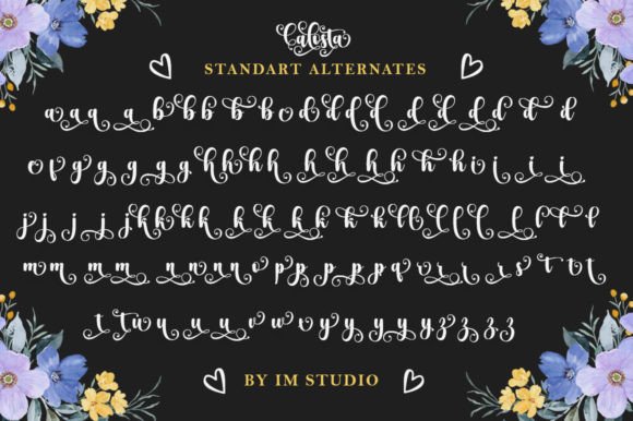 Calosta Font Poster 8
