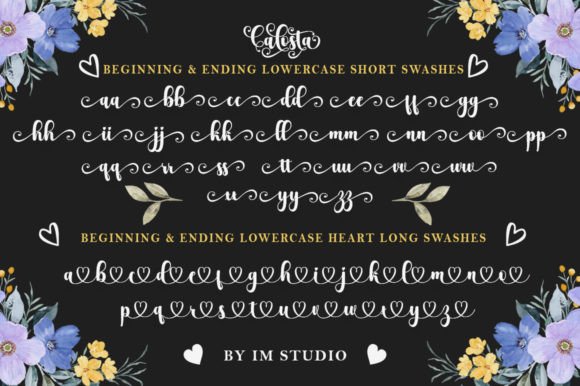 Calosta Font Poster 9