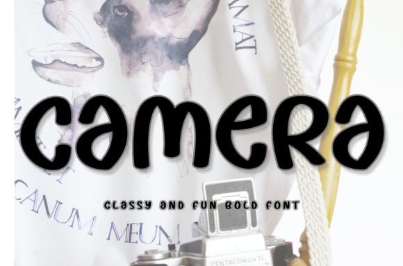 Camera Font Poster 1