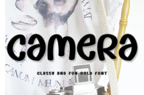 Camera Font Camera Font Poster 1