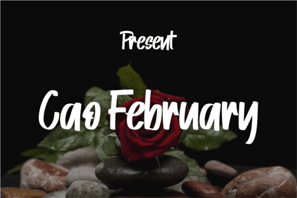 Cao February Font Poster 1