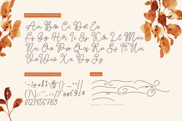 Carol Adelina Font Poster 8