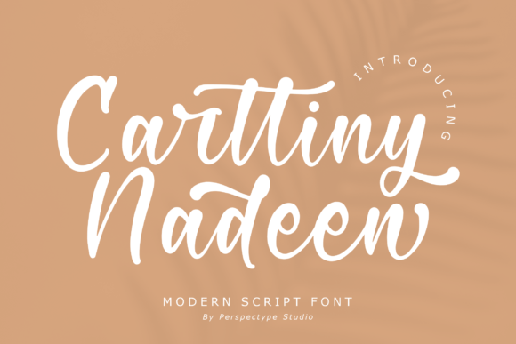 Carttiny Nadeen Font