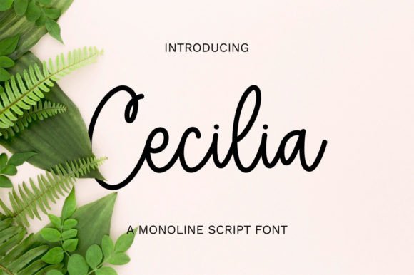 Cecilia Font Poster 1