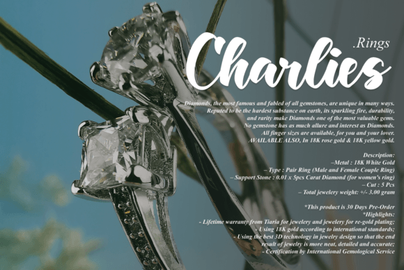 Character Font Poster 11