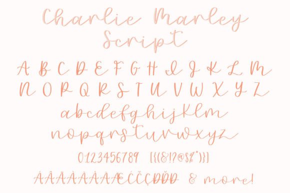 Charlie Marley Font Poster 12