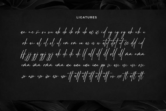 Chicnatures Font Poster 14