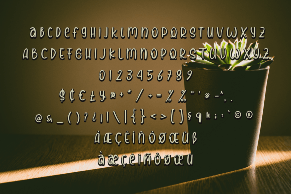 Christmas Dreams Font Poster 6