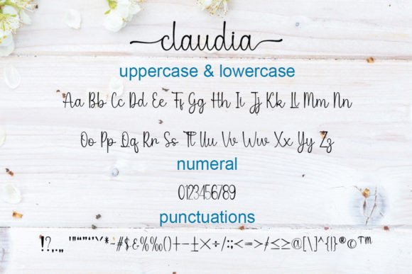 Claudia Font Poster 5