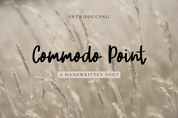 Commodo Point Font Poster 1