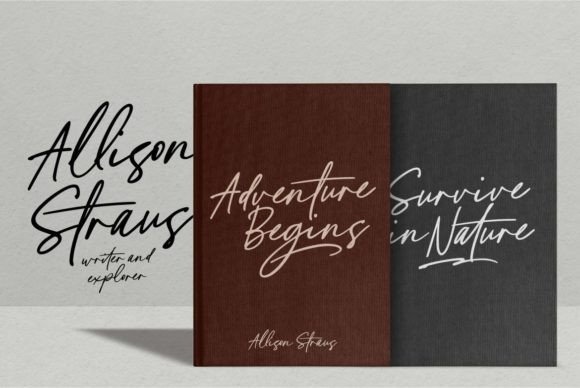 Costyle Font Poster 2