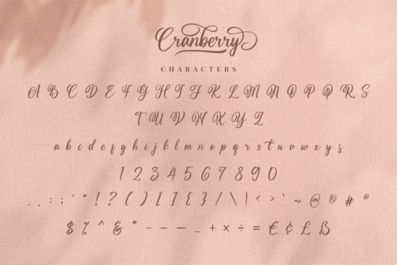 Cranberry Font Poster 11