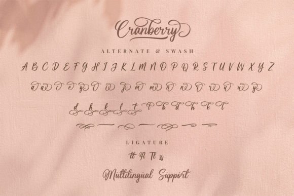 Cranberry Font Poster 12
