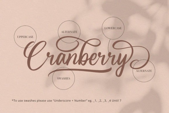 Cranberry Font Poster 10