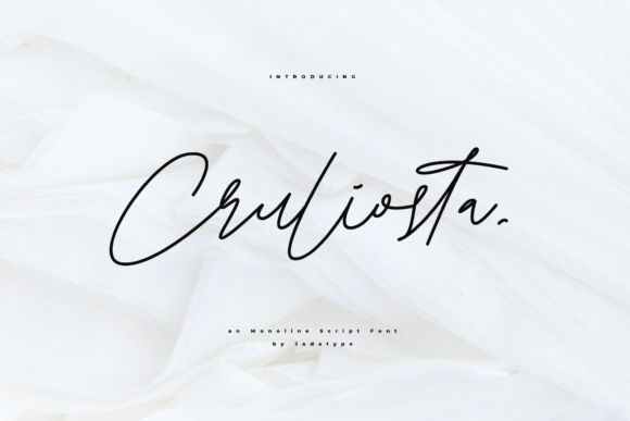 Cruliosta Font Poster 1