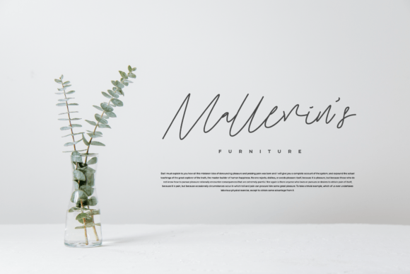 Cruliosta Font Poster 2