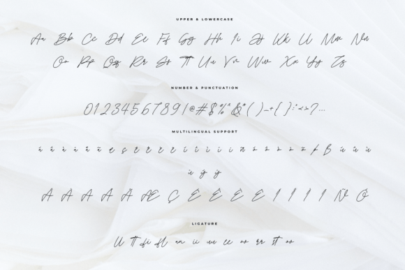 Cruliosta Font Poster 5