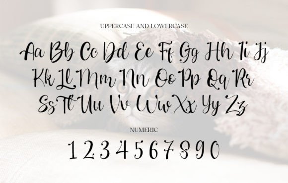 Cutie Font Poster 7