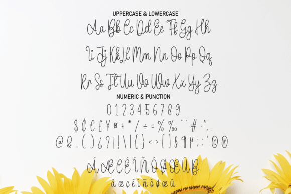 Daddy Bee Font Poster 2