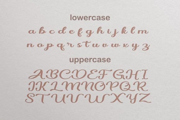 Danella Font Poster 2