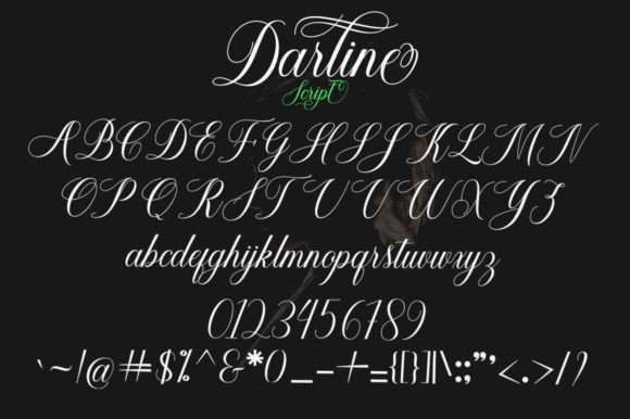 Darline Script Font Poster 7