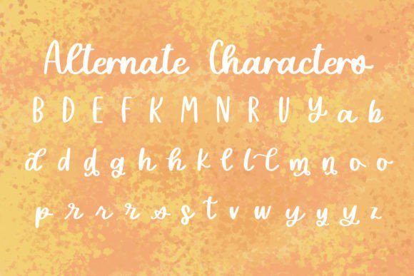 Delicate Daisy Font Poster 6