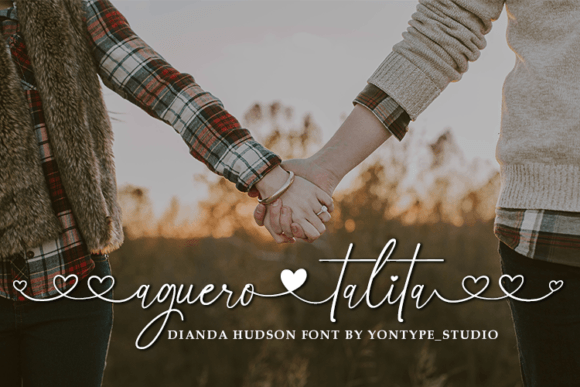 Dianda Hudson Font Poster 2