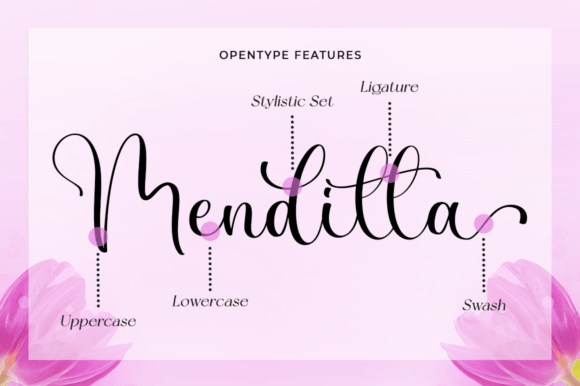 Dignetta Font Poster 8